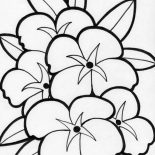 Hibiscus Flower, Beautiful Picture Of Flower Coloring Page: Beautiful Picture of Flower Coloring Page