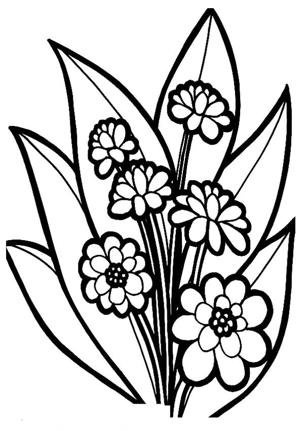Flower Bouquet, : Fancy Flower Bouquet Coloring Page