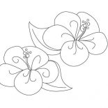 Hibiscus Flower, Fancy Hibiscus Flower Coloring Page: Fancy Hibiscus Flower Coloring Page