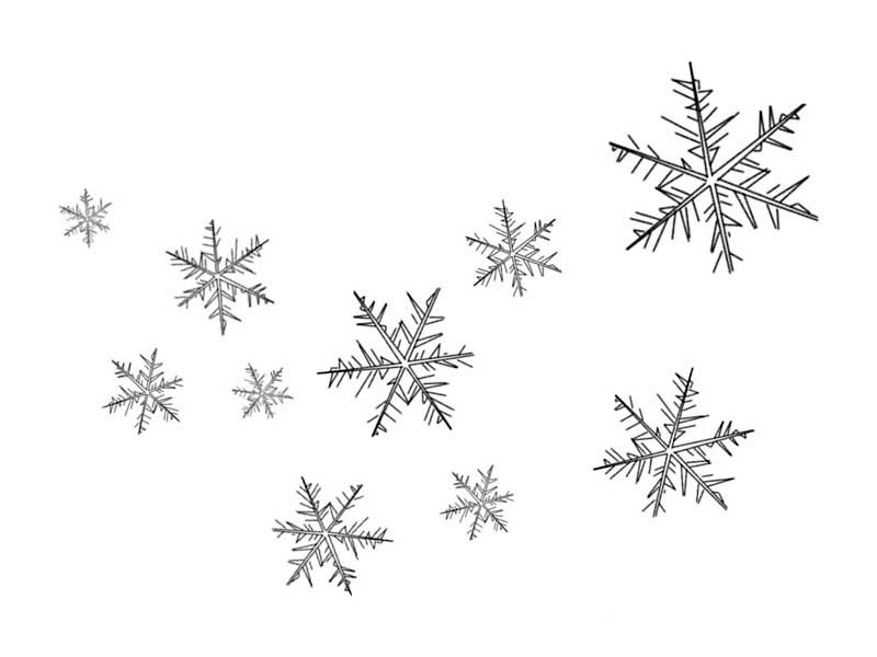 Snowflakes, : Floating Snowflakes Coloring Page