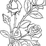 Flower Bouquet, Flower Bouquet Is Made Of Roses Coloring Page: Flower Bouquet is Made of Roses Coloring Page