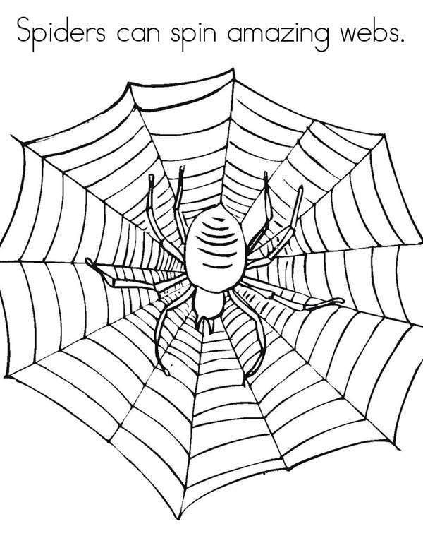 Spider, : Spiders Can Spin Amazing Spider Web Coloring Page