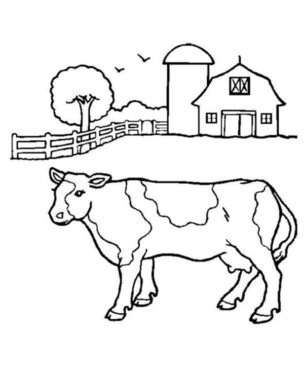 Barn, : Barn and a Milk Cow Coloring Page