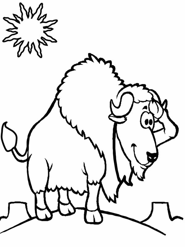 Bison, : Bison Standing at Noon Coloring Page