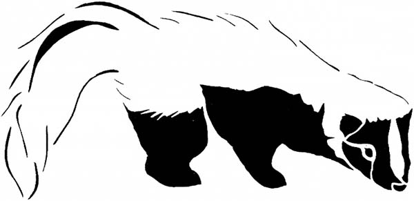 Skunk, : Black and White Skunk Coloring Page
