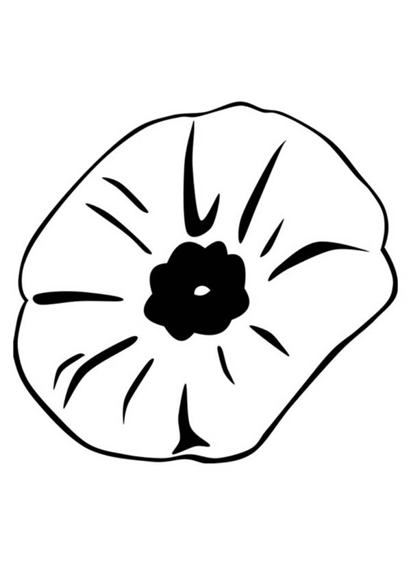 Poppy, : Close Up Picture of Poppy Coloring Page
