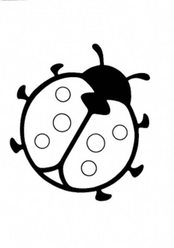 Lady Bug, : Cute Lady Bug Coloring Page