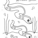 Eel, Cute Moray Eel Coloring Page: Cute Moray Eel Coloring Page