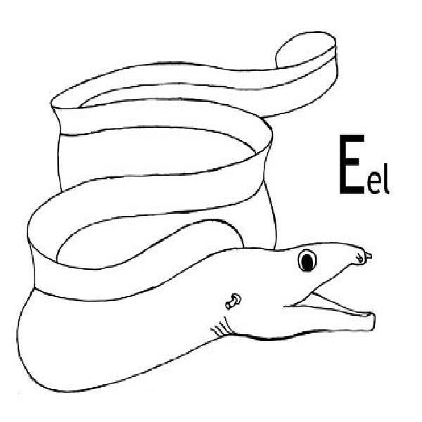 Eel, : E is for Eel Coloring Page