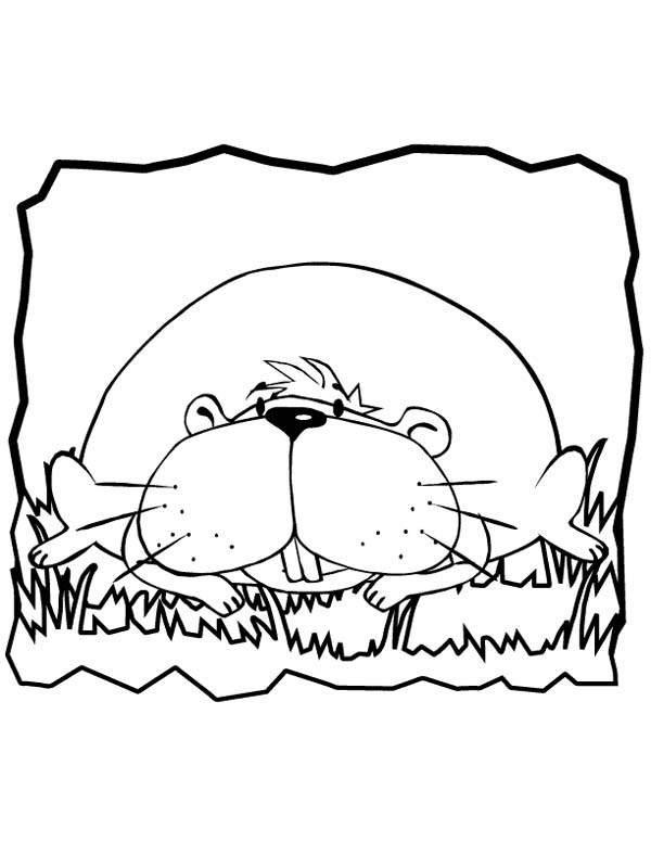 Guinea Pig, : Lazy Guinea Pig Coloring Page