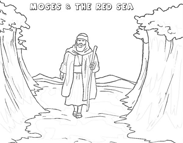 Moses, : Moses Walking Through Red Sea Coloring Page