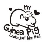 Guinea Pig, My Guinea Pig Coloring Page: My Guinea Pig Coloring Page