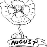 Poppy, Poppy Flower In August Coloring Page: Poppy Flower in August Coloring Page