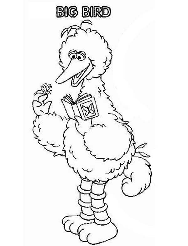 Sesame Street, : Sesame Street Character Big Bird Coloring Page