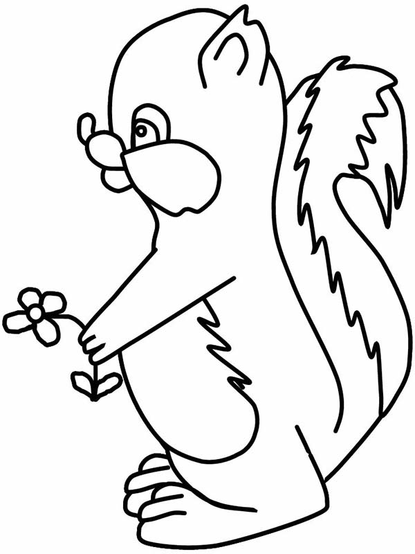 Skunk, : Skunk with Flower Coloring Page