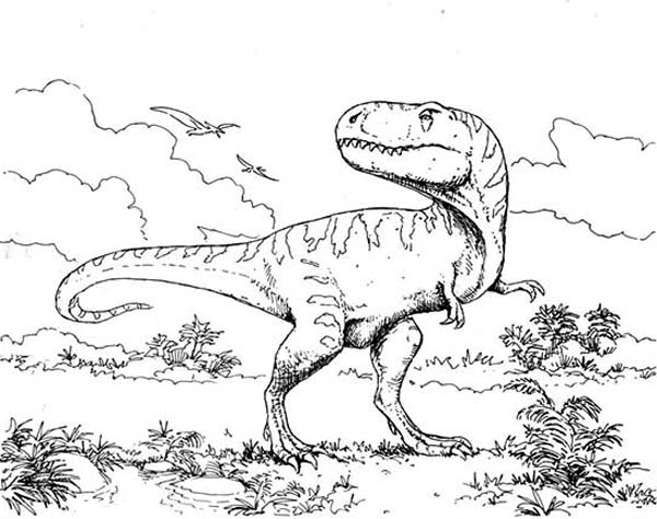 T-Rex, : T Rex Intimidating Her Enemy Coloring Page