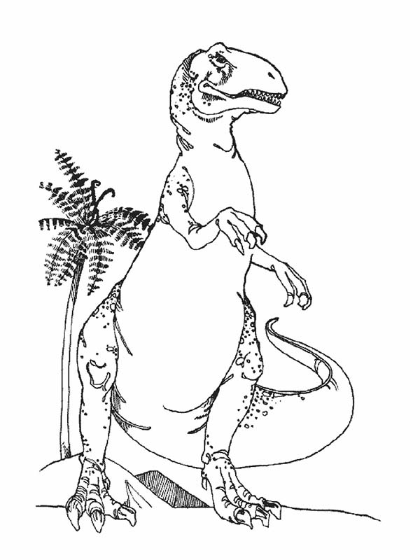 T-Rex, : T Rex Standing Taller Than Coconut Tree Coloring Page
