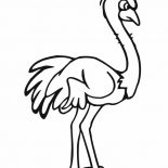 Ostrich, Angry Ostrich Coloring Page: Angry Ostrich Coloring Page