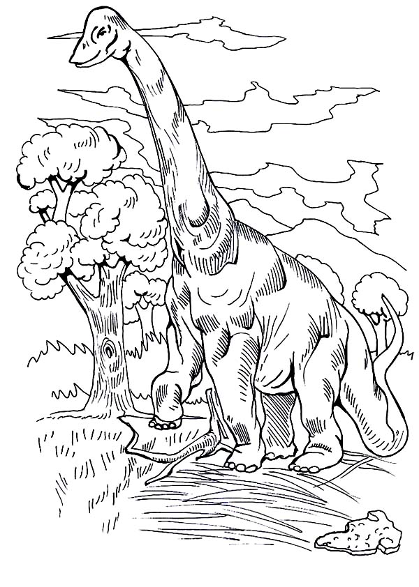Brachiosaurus, : Brachiosaurus Standing Taller Than a Tree Coloring Page