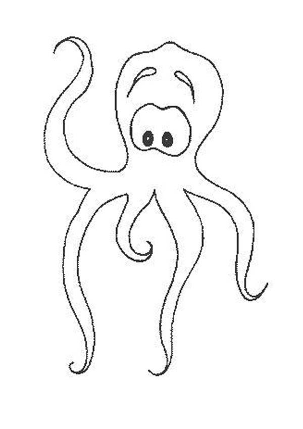 Octopus, : Confuse Octopus Coloring Page