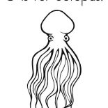 Octopus, O Is For Octopus Coloring Page: O is for Octopus Coloring Page