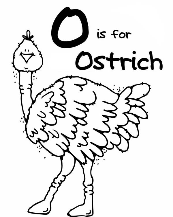 Ostrich, : O is for Ostrich Coloring Page
