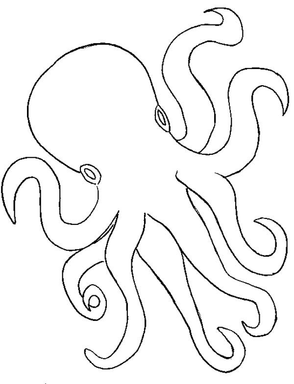 Octopus, : Octopus Outline Coloring Page