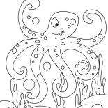 Octopus, Octopus Winking Coloring Page: Octopus Winking Coloring Page