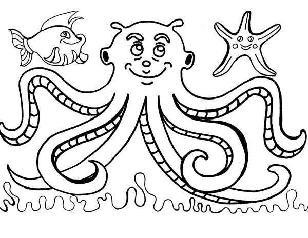 Octopus, : Octopus and Friends Coloring Page