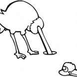 Ostrich, Ostrich Buried His Head In The Ground Coloring Page: Ostrich Buried His Head in the Ground Coloring Page