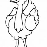 Ostrich, Ostrich Posing Coloring Page: Ostrich Posing Coloring Page