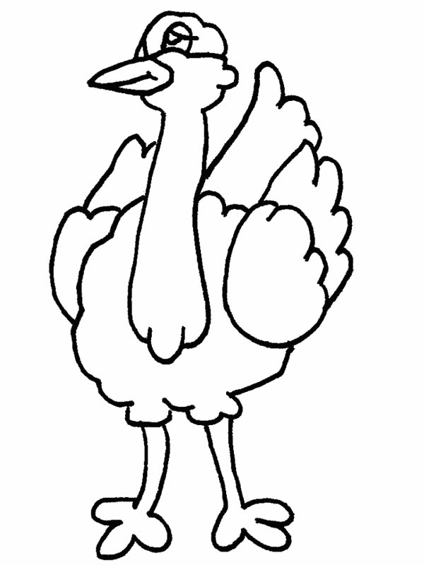 Ostrich, : Ostrich Posing Coloring Page