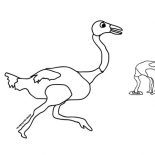 Ostrich, Ostrich Running Wild Coloring Page: Ostrich Running Wild Coloring Page