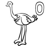 Ostrich, Picture Of An Ostrich Coloring Page: Picture of an Ostrich Coloring Page