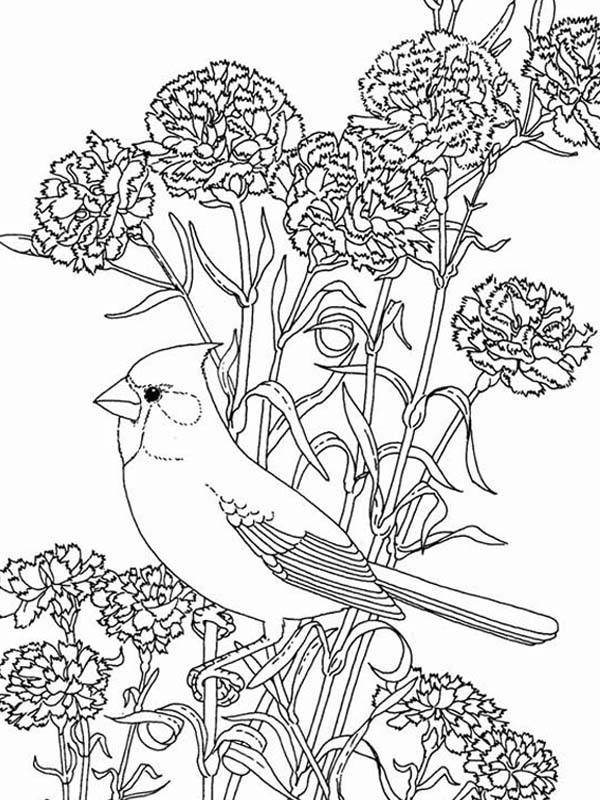 Birds, : Bird Among Beautiful Flowers Coloring Page