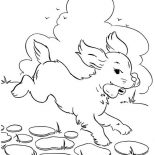 Dogs, Dog Eats Delicous Bone Coloring Page: Dog Eats Delicous Bone Coloring Page