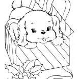 Dogs, Little Dog Came From Present Box Coloring Page: Little Dog Came from Present Box Coloring Page