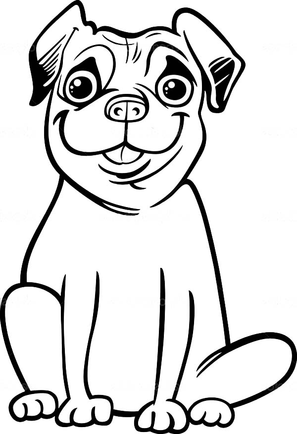 Pug, : Big Smile of Pug Coloring Page