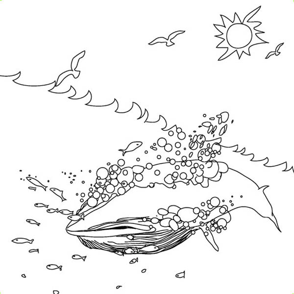Nature, : Blue Whale of Nature Coloring Page