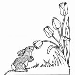 Nature, Bunny Smelling Flower Of Nature Coloring Page: Bunny Smelling Flower of Nature Coloring Page