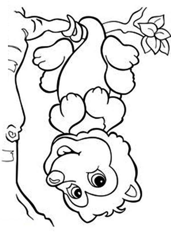 Possum, : Cartoon of a Possum Coloring Page