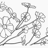 Nature, Floral Of Nature Coloring Page: Floral of Nature Coloring Page