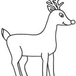 Rudolph, How To Draw Rudolph The Red Nosed Reindeer Coloring Page: How to Draw Rudolph the Red Nosed Reindeer Coloring Page