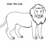 Lion, How To Draw A Lion Coloring Page: How to Draw a Lion Coloring Page