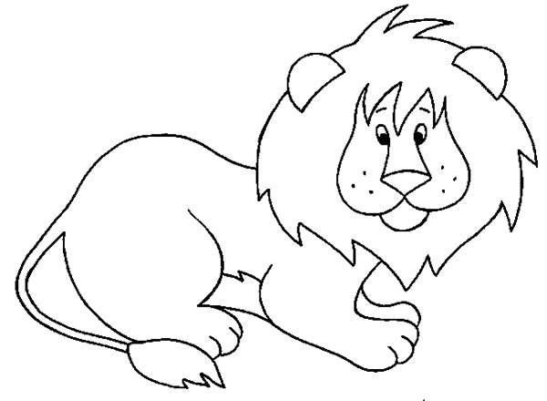 Lion, : Little Lion Picture Coloring Page