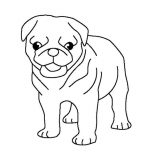 Pug, Pug Puppy Coloring Page: Pug Puppy Coloring Page