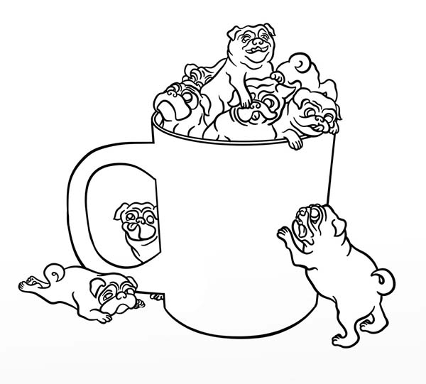 Pug, : Pug in a Cup Coloring Page