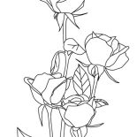 Nature, Roses Of Nature Coloring Page: Roses of Nature Coloring Page