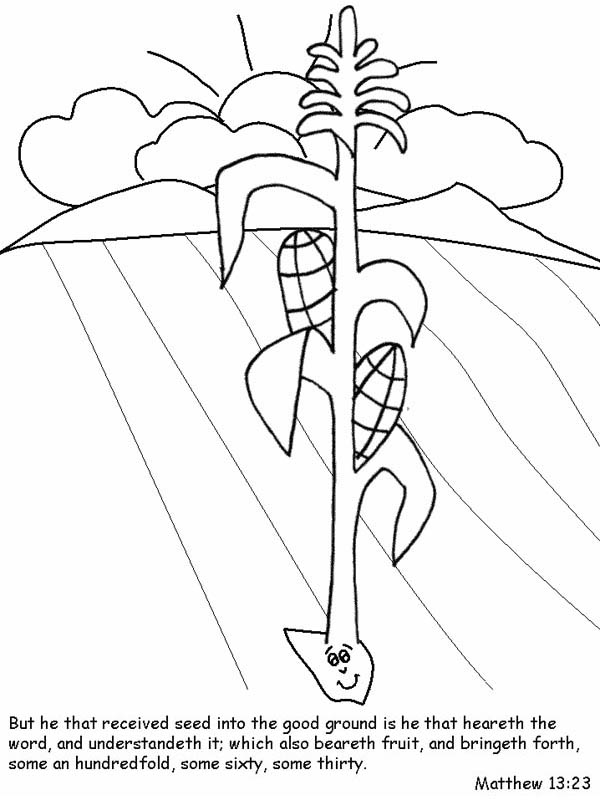 Parable of the Sower, : Seed that Fall into Good Ground in Parable of the Sower Coloring Page