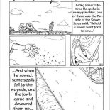 Parable of the Sower, Some Seed Fell By The Wayside In Parable Of The Sower Coloring Page: Some Seed Fell by the Wayside in Parable of the Sower Coloring Page